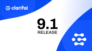 Release 9.1 Image