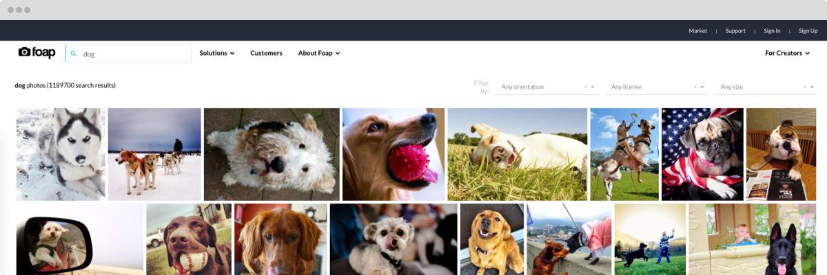 foap-dog-images-computer-screen-visual-search